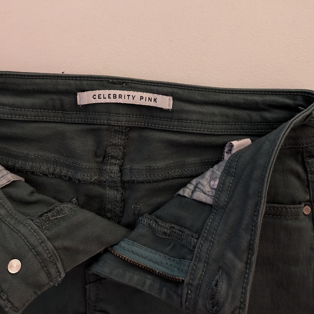 Celebrity Pink, Denim/Jean, Shorts, Green, Size 1/25, NWOT - Picture 3 of 4